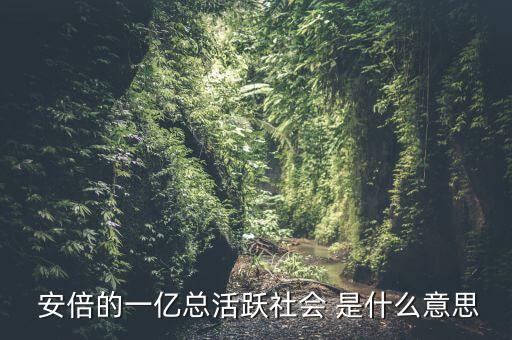 一億總活躍社會是什么， 安倍的一億總活躍社會 是什么意思