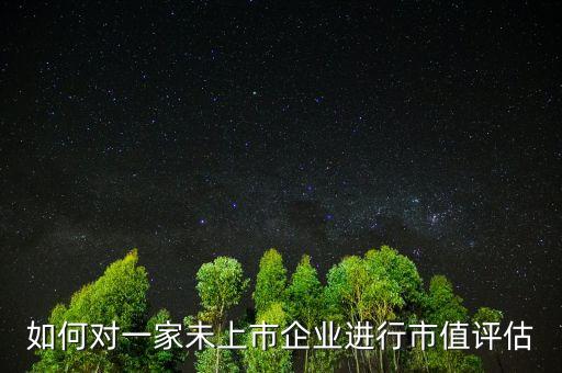 如何對一家未上市企業(yè)進行市值評估