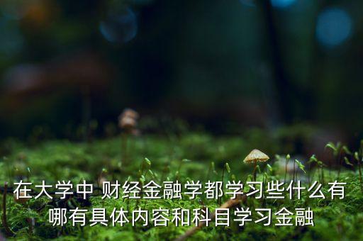 在大學中 財經(jīng)金融學都學習些什么有哪有具體內容和科目學習金融