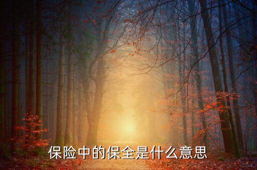 中國(guó)數(shù)據(jù)保全的意義是什么，保險(xiǎn)中的保全是什么意思
