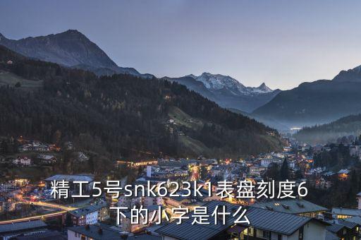 精工表中小表什么，精工手表4個(gè)小表盤(pán)是干甚么的
