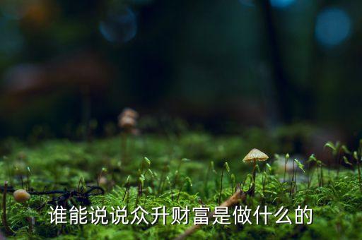 誰能說說眾升財(cái)富是做什么的