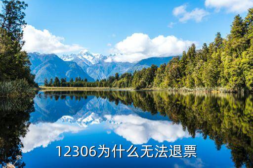 鐵路網為什么不能退票，12306為什么無法退票