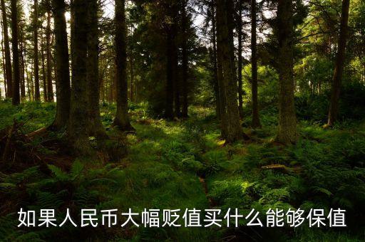 錢貶值買什么，人民幣貶值買什么好