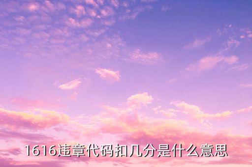 1616元是什么意思，1616違章代碼扣幾分是什么意思