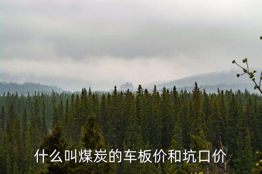 什么叫煤炭坑口價，煤炭坑口價格是什么意思呀有知道的好心人請給予答復(fù)