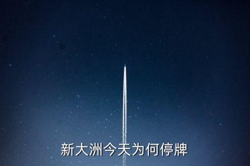 新大州a什么時候復牌，公告出來了請懂行的解釋一下什么時候可以復牌