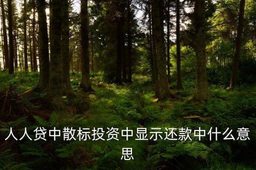 散標(biāo)是什么意思，散標(biāo)是什么