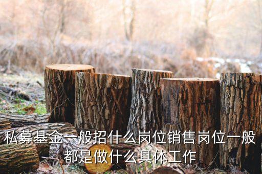 私募公司的市場(chǎng)部做什么，投資公司的市場(chǎng)部職員主要做什么
