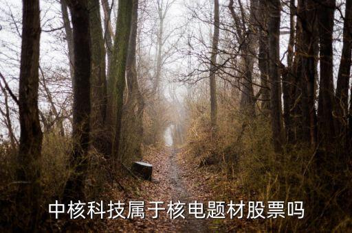 中核科技是什么板塊，中核科技屬于核電題材股票嗎