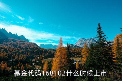 168101基金什么時候上市，基金代碼168102什么時候上巿