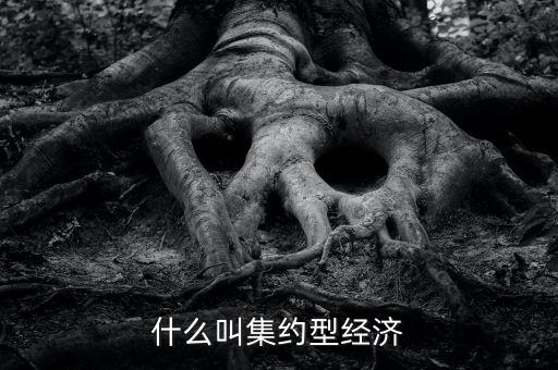 什么叫產(chǎn)融結(jié)合，什么叫集約型經(jīng)濟(jì)