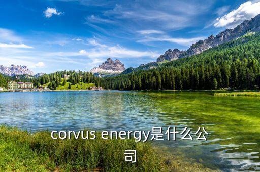 凱富能源是什么公司，corvus energy是什么公司