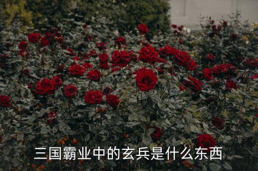 漢鼎宇佑是什么，Abercrombie是什么牌子