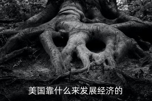 美國(guó)經(jīng)濟(jì)靠什么，美國(guó)靠什么來(lái)發(fā)展經(jīng)濟(jì)的