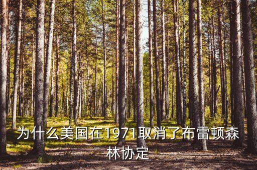 什么取代了布雷頓森林體系，布雷頓森林體系的產生說明了