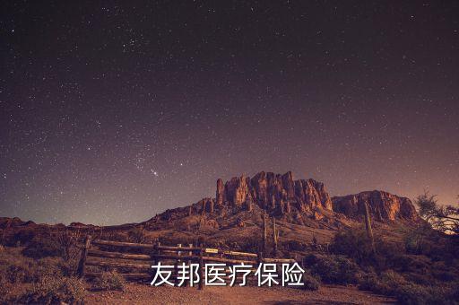 花旗代理友邦什么保險，花旗和友邦合作的意外保險怎么樣