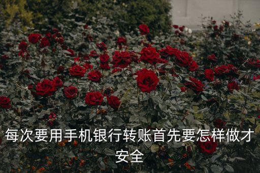 手機銀行轉(zhuǎn)賬有什么可以保護安全，手機開了手機銀行怎么保護