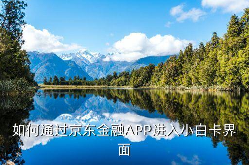 登陸京東金融后進(jìn)入什么頁面，京東金融app借錢界面在哪里啊