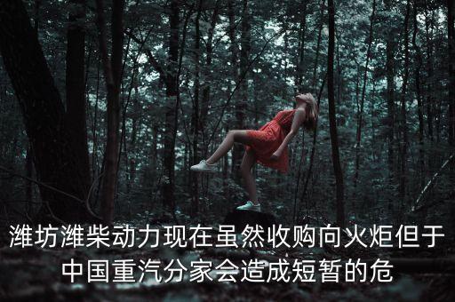 重汽為什么沒有濰柴了，中國重汽還有濰柴發(fā)動機嗎