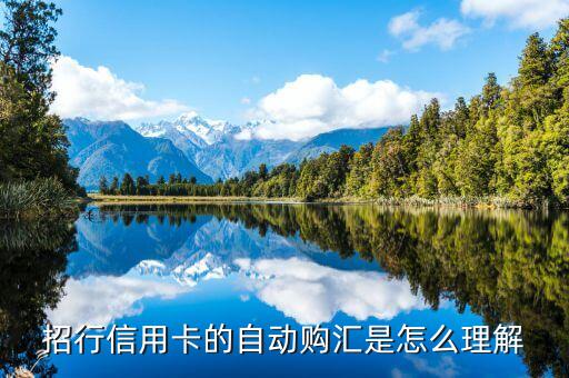 自動(dòng)購(gòu)匯轉(zhuǎn)出什么意思，什么是中國(guó)銀行信用卡的外幣自動(dòng)購(gòu)匯