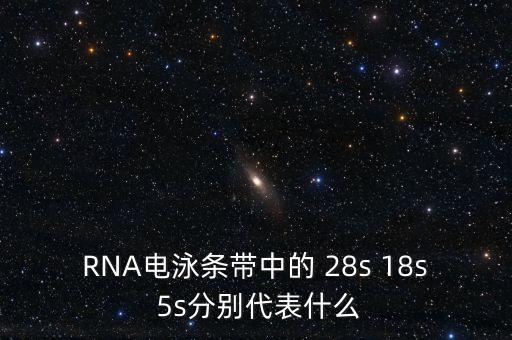 中能?chē)?guó)研是什么，在HTML中content是什么意思