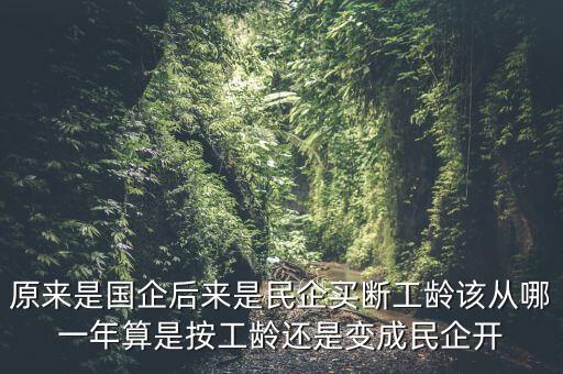 廣西貴糖什么時(shí)候變私企，廣西在什么時(shí)候開始變得落后起來的原因是