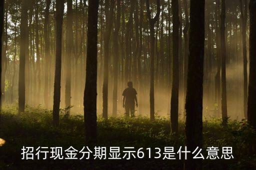 招行現金分期顯示613是什么意思