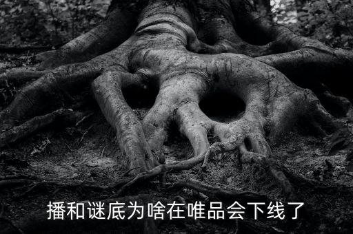 風(fēng)行電視為什么在唯品會下架，風(fēng)行網(wǎng)絡(luò)電視怎么了