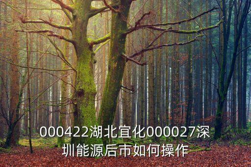 000027之前名什么，000422湖北宜化000027深圳能源后市如何操作
