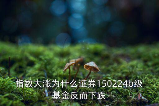 150224為什么折價(jià)通俗，150224下折后還要繼續(xù)持有嗎