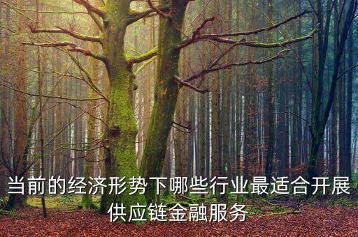 什么行業(yè)不適合產(chǎn)業(yè)鏈金融服務(wù)，產(chǎn)業(yè)鏈金融是什么