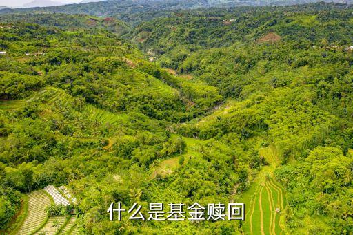 贖回基金什么意思，什么是基金的贖回