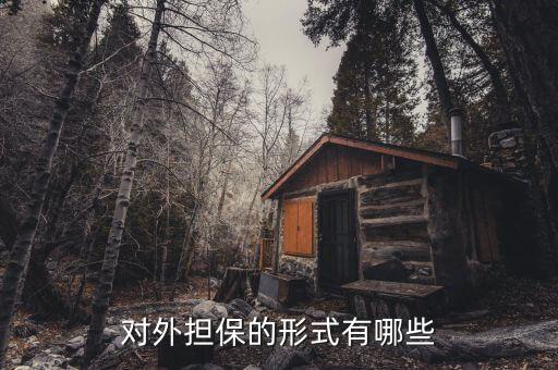 什么是境外擔(dān)保履約，外商投資企業(yè)貸款 外保內(nèi)貸 投注差