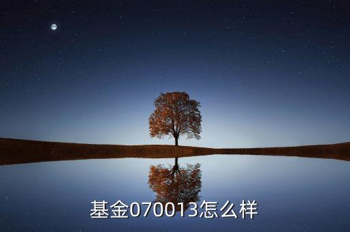 070013基金是什么基金，基金070013前面加of什么意思
