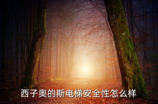 西子奧的斯電梯有什么缺陷，西子奧的斯電梯安全性怎么樣
