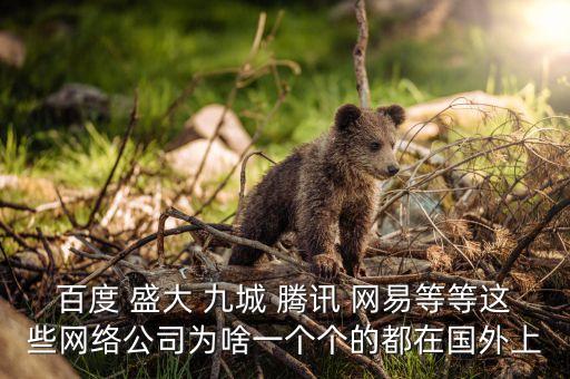 盛大為什么上市，百度 盛大 九城 騰訊 網(wǎng)易等等這些網(wǎng)絡公司為啥一個個的都在國外上