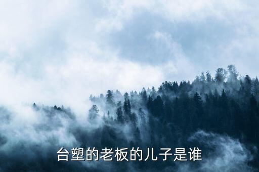 泉恩集團王文祥和臺塑王永慶什么關系，塑料大王是誰