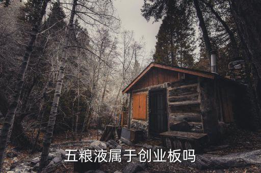 000858五糧液是什么股，五糧液屬于創(chuàng)業(yè)板嗎