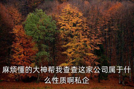 麻煩懂的大神幫我查查這家公司屬于什么性質啊私企