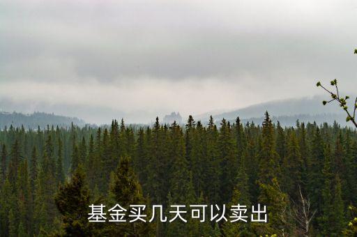 基金什么時候可以賣出，基金買進(jìn)后多久可以賣出