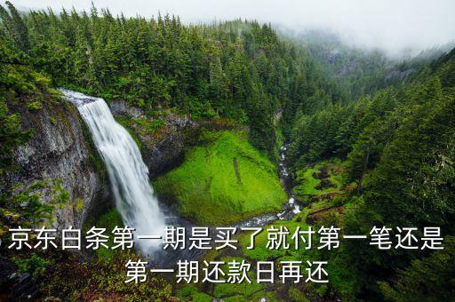 京東白條后第一期款什么時(shí)候還，京東白條第一期是買了就付第一筆還是第一期還款日再還