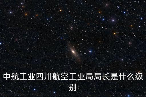 中航王斌什么級(jí)別，中航工業(yè)陜飛集團(tuán)董事長(zhǎng)是什么行政級(jí)別