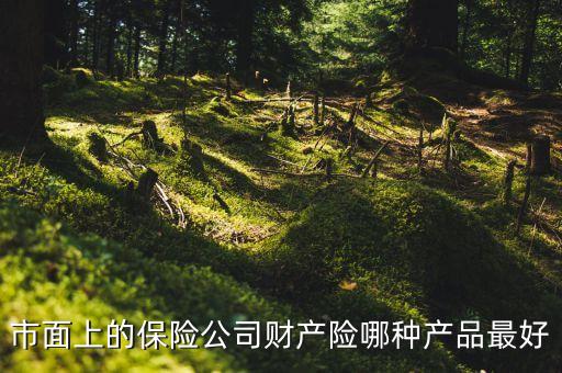 國外財險公司什么險種最火，市面上的保險公司財產(chǎn)險哪種產(chǎn)品最好