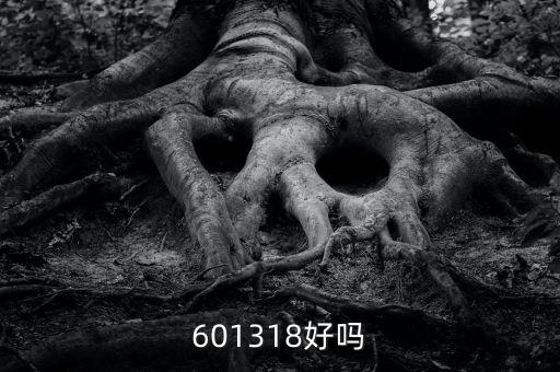 601318是什么股，601318好嗎