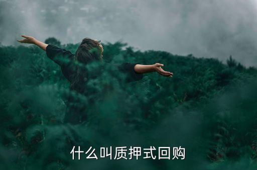 什么叫質押式回購