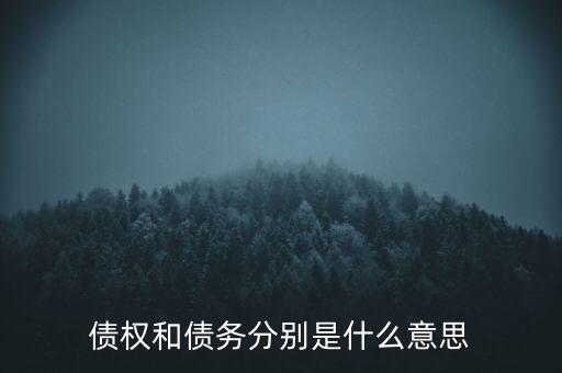 bsp票款債權(quán)是什么，銀行理財(cái)業(yè)務(wù)里面的liborbsp是什么意思