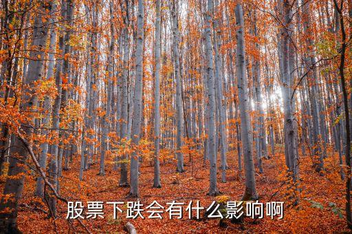 股市跌了有什么影響，股票下跌會有什么影響啊