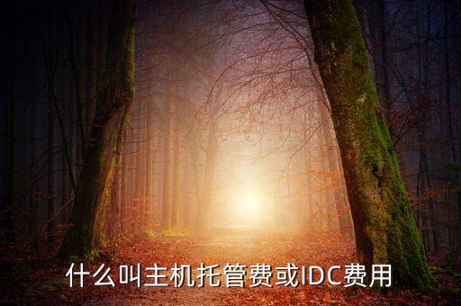 什么叫主機(jī)托管費或IDC費用