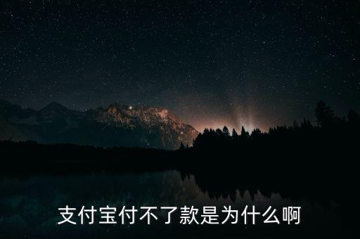 手機(jī)支付寶為什么不能付款，支付寶付不了款是為什么啊